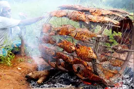 印度大爷独创“风火轮烤鱼”，一次能烤80只，网友：堪比开挂视频封面