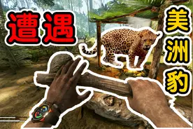 绿色地狱02：一碗骨头汤，引来了凶猛的美洲豹！