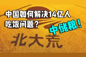 中国如何解决14亿人的吃饭问题？中央储备粮够大家吃一年了