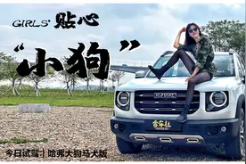 茜茜试驾 | 狂野外表，斯文内心，这样的大狗你爱吗？