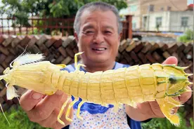 1820买10只富贵虾，个个堪称虾王，吃一只就饱了！视频封面