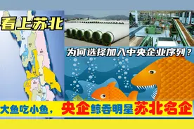 中央上收苏北淮安徐州连云港盐城淮阴6明星企业，从此苏企变央企视频封面