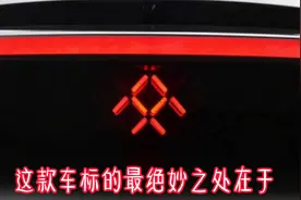 汽车车标揭秘——法拉第未来（FF）视频封面