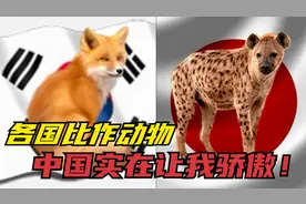 把国家比作动物，韩国是狐狸，日本是鬣狗，而中国能轻松碾压他们视频封面