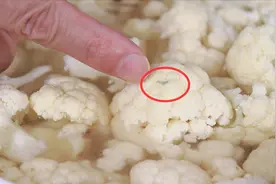 花菜别用清水洗，等于吃虫卵，教你正确方法，虫子脏污自己跑出来