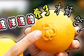 怎样才能挑选到好吃的橙子？听听主播小瑞怎么说，原来学问这么大