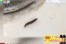 刷牙刷出黑色虫子，送去检验发现毛蠓幼虫，所幸老伯无碍视频封面