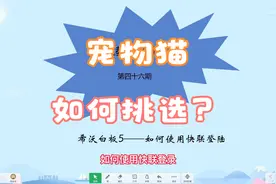 希沃白板5登录小技巧