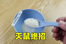 家里老鼠太多别着急，只需两勺大米，老鼠来一只灭一只，简单实用视频封面