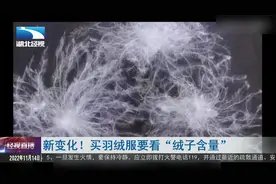 新变化！买羽绒服要看“绒子含量视频封面