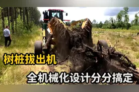美国人是如何拔除树桩的？只需一台拔桩器，3秒就能拔出树根！
