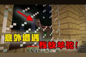 我的世界：残缺驼马身上的奇怪秘密！