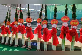 牛！章丘大葱2.532米破吉尼斯世界纪录，比姚明还高