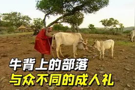 纪录片：牛背上的部落，经历过成人礼男孩，才会真正蜕变成男人视频封面