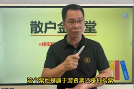 机构票与游资票K线特征的区别，交易策略完全不一样，看完就明白视频封面