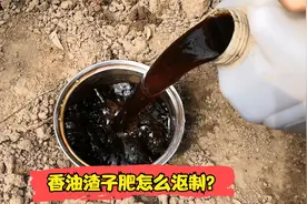 香油渣子肥怎么沤制？