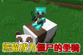 我的世界：关于僵尸的那些事，熊猫成为僵尸的坐骑
