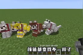 我的世界,可以给狗狗穿上盔甲,还能给狗狗挂上小箱子!