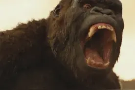 世界上最大的猩猩，智商仅次于人类，是地球上最可怕的动物之一视频封面