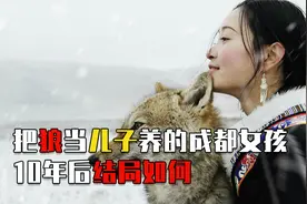 2010年，把狼当“儿子”的成都女孩，十年后有了个催人泪下的结局视频封面