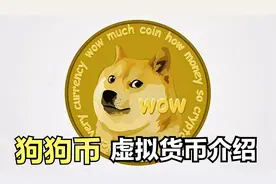 主流虚拟货币介绍--狗狗币(DOGE)视频封面