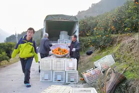 农村无臂小伙凌晨5点就起床，看看他一天在做些什么