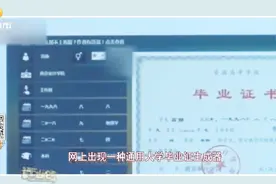 学历是招聘敲门砖，网上现“大学文凭生成器”,却难逃HR火眼金睛