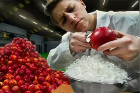 苹果上究竟藏着多少蜡？牛人用100斤亲测苹果，结果不可思议！视频封面