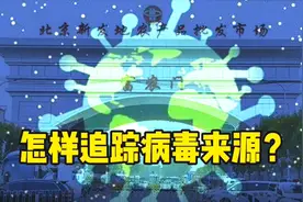 进口的三文鱼从哪儿来？北京的新发地又是哪里？北京的病例严重吗视频封面