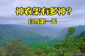 最全神农架自驾攻略，再不用担心踩坑，实用又长知识！