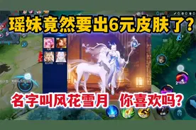瑶竟然要出6元皮肤了？名字叫风华雪月，你喜欢吗？视频封面