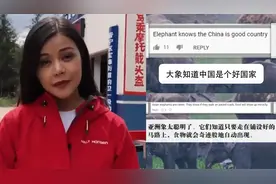 “大象旅行团”火到国外！多国媒体报道 网友英文日语盛赞中国视频封面
