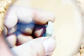 600年前的古墓出土，专家在里面意外发现一瑞士手表，难道穿越了视频封面