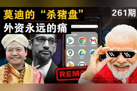 莫迪的“杀猪盘”，为什么说是外资永远的痛视频封面