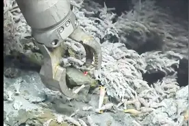 世界上最耐高温的生物，生活在深海火山喷口附近，这可怎么吃