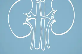 还少胶囊有滋肾阳、滋肾阴的双重功效，和五子衍宗丸功效一样吗