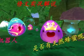 史莱姆牧场31：时间已满收集机器人，能否收到天然蜂蜜？