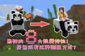 我的世界：熊猫的八条隐藏特性！原来熊猫还有这种驯服方法？！