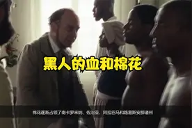 【思维档案 3】自由民主，强迫劳动？深扒美国棉花与黑人的血