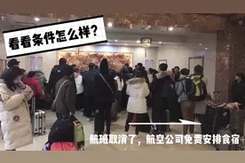 航班取消了，航空公司免费提供食宿，条件还不错，平哥心情转好视频封面