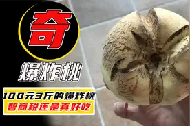 成本1块钱1斤的爆炸桃，网上竟然100元3斤？中间差价被谁赚了？视频封面