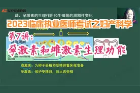 2023临床医师考试之妇产科学第7讲：孕激素和雌激素生理功能