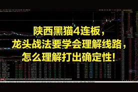 陕西黑猫4连板，龙头战法要学会理解线路，怎么理解打出确定性！视频封面