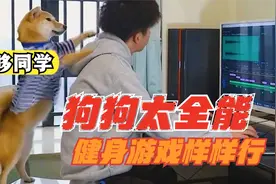 全能狗狗：给主人洗头按摩吹头发，陪主人打游戏的狗狗你见过吗？视频封面