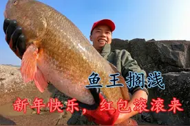 赶海盘80平猛货巨坑，小俞第一次抓到十几斤超大“鱼王”太刺激了视频封面