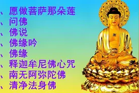 静心佛歌《愿做菩萨那朵莲》《问佛》《佛说》《佛缘吟》《佛缘》