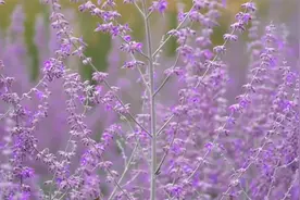 最美妙的一件事是，当你拥抱一个你爱的人，他竟然把你抱得更紧