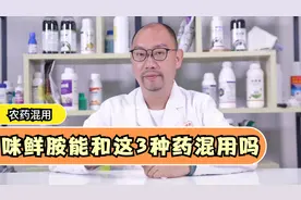 咪鲜胺能和唑酮•乙蒜素、阿维菌素、阿维•炔螨特混用吗？