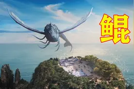 鲲！海空两栖神鱼，巨大无比，圣人诗人都热衷探讨，至今无法定论