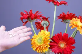 今天才知道，水中加入一常见物件，鲜花长久保鲜不腐烂，简单有效